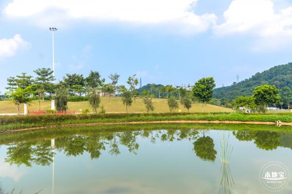 龙岗湿地公园