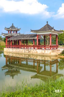 龙岗湿地公园