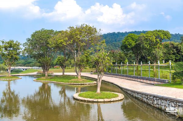 龙岗湿地公园