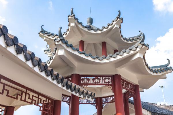 龙岗湿地公园