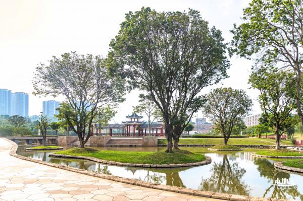 龙岗湿地公园