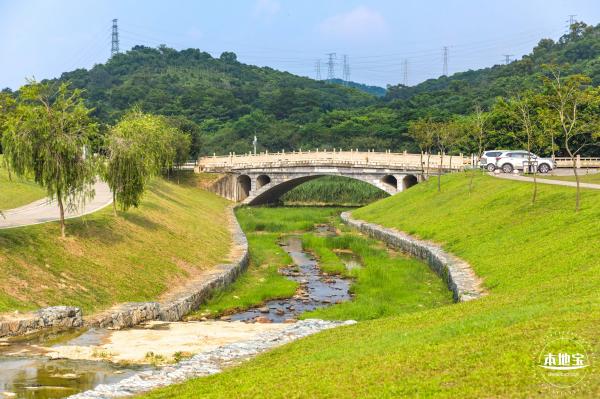 龙岗湿地公园
