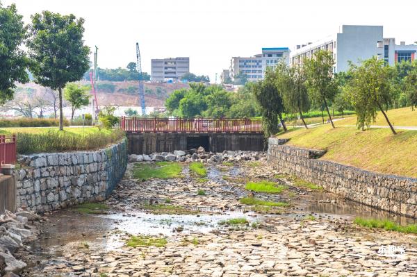 龙岗湿地公园