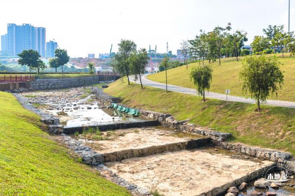 龙岗湿地公园