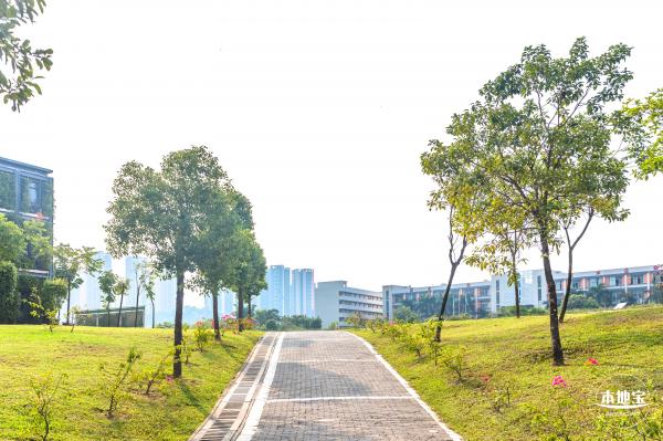龙岗湿地公园