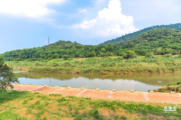 龙岗湿地公园