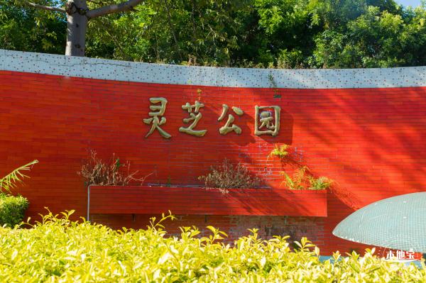 灵芝公园