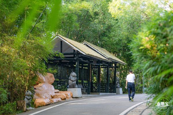 翠竹公园