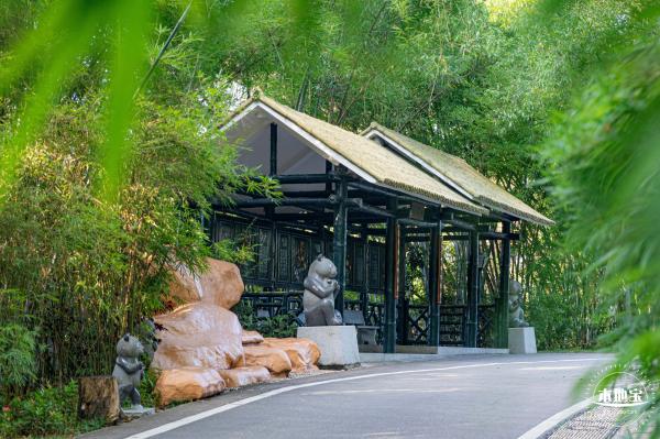 翠竹公园