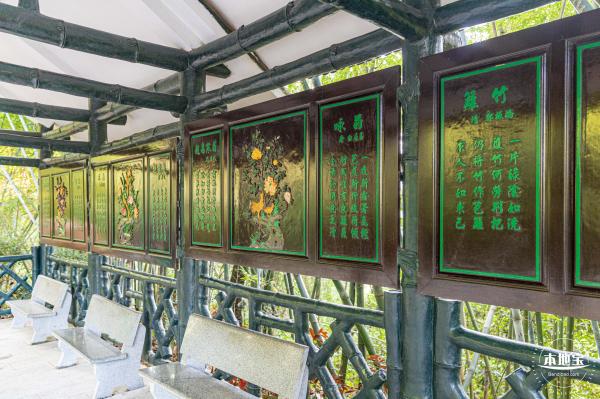 翠竹公园