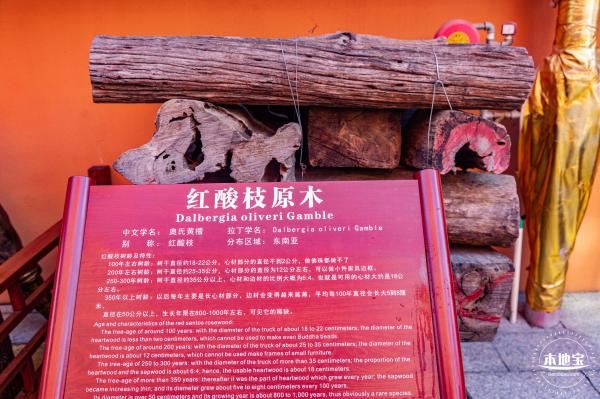光明红木小镇