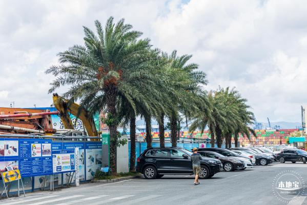 盐田海鲜街