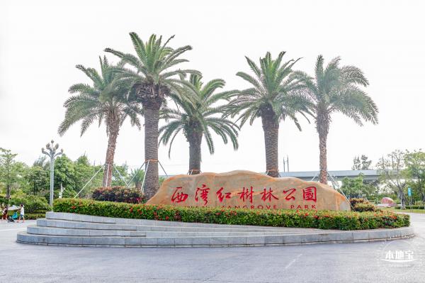 西湾红树林公园