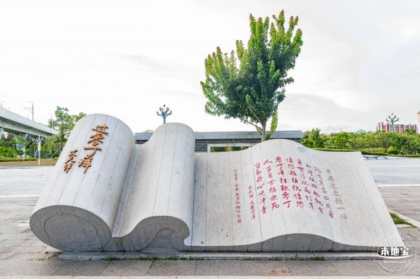 西湾红树林公园
