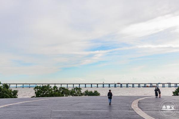 西湾红树林公园