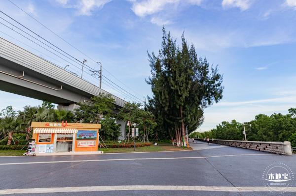 西湾红树林公园