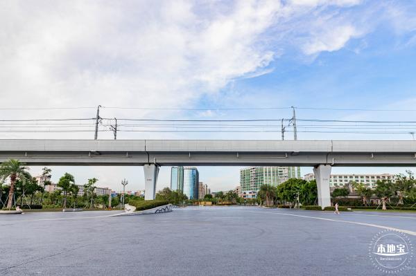西湾红树林公园