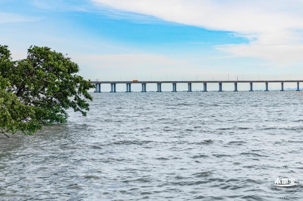 西湾红树林公园