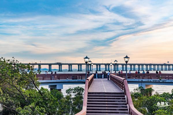 西湾红树林公园