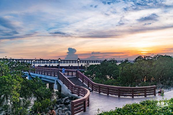 西湾红树林公园