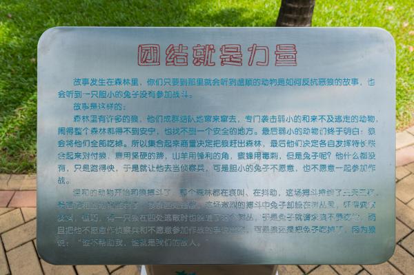 深圳儿童公园