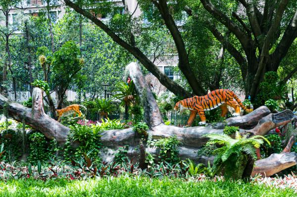 深圳儿童公园