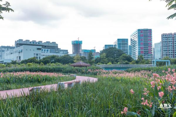 鹅颈水湿地公园