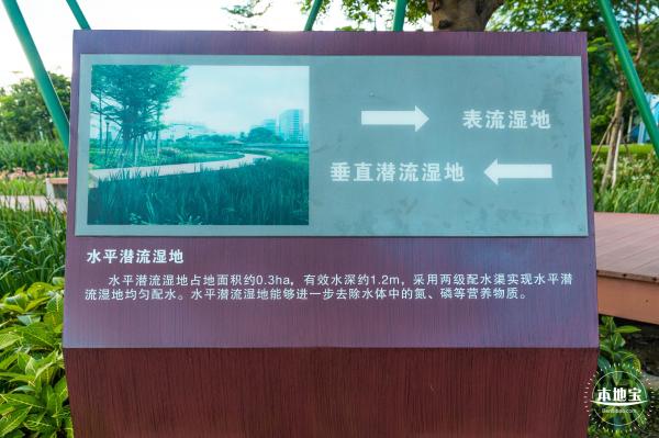 鹅颈水湿地公园