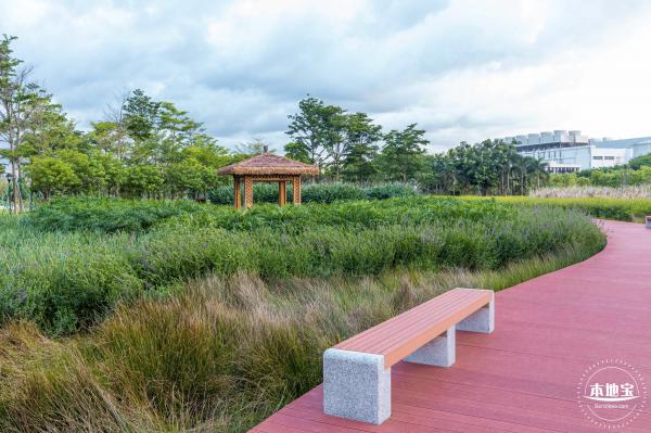 鹅颈水湿地公园