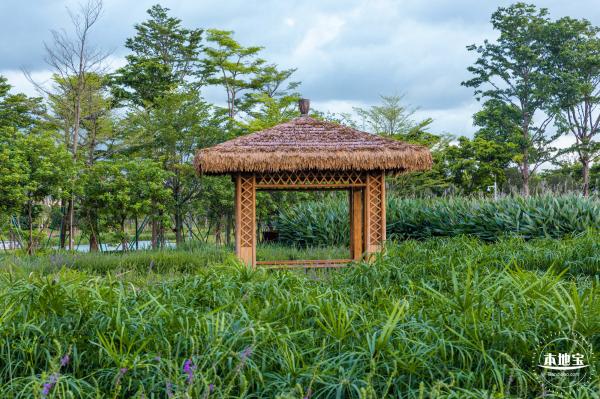 鹅颈水湿地公园