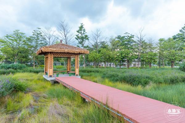 鹅颈水湿地公园