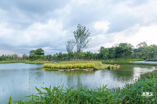 鹅颈水湿地公园