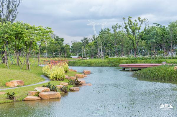 鹅颈水湿地公园