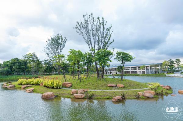 鹅颈水湿地公园