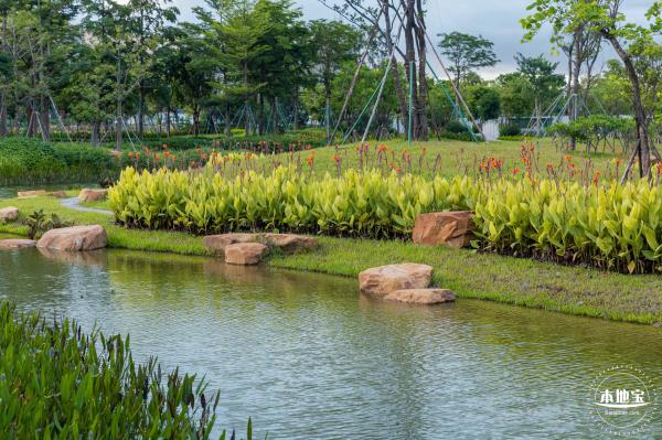 鹅颈水湿地公园