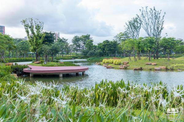 鹅颈水湿地公园