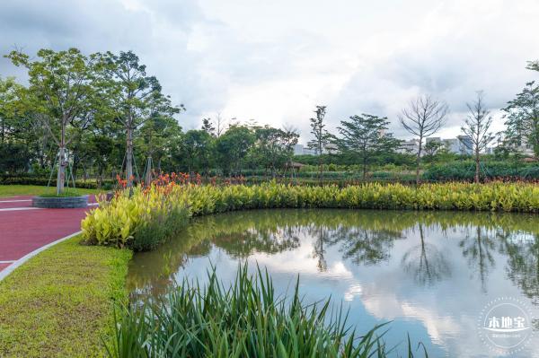 鹅颈水湿地公园