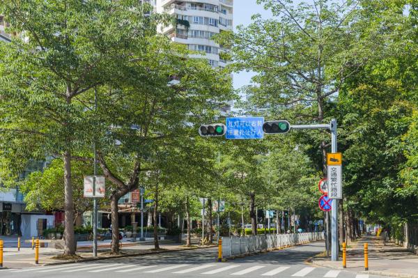 景田北七街公园（交通科普园）