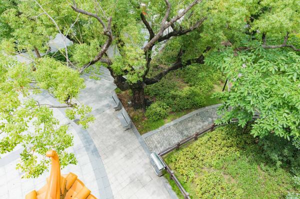 横岗人民公园