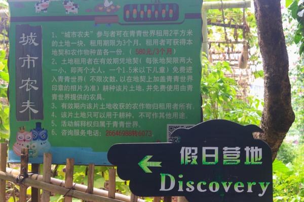 青青世界