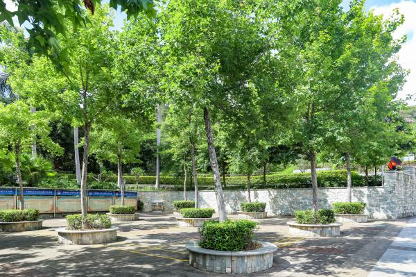 深圳凤凰山国家矿山公园