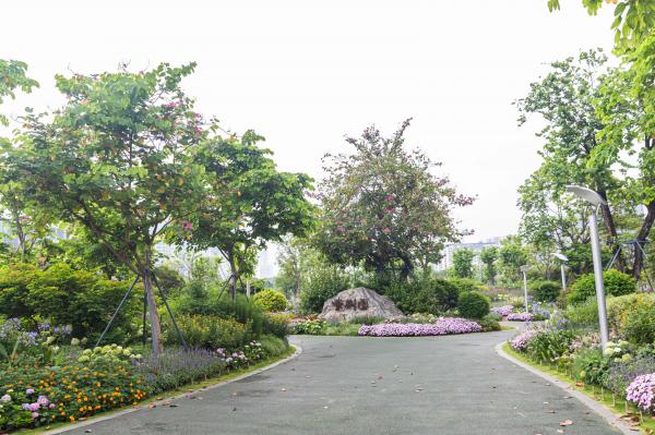 紫荆园