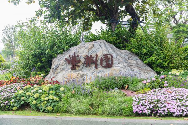 紫荆园