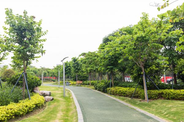 紫荆园