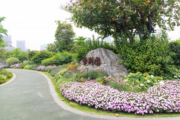 紫荆园