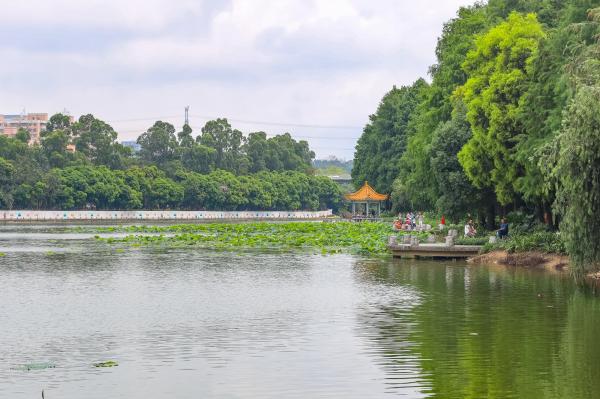 洪湖公园