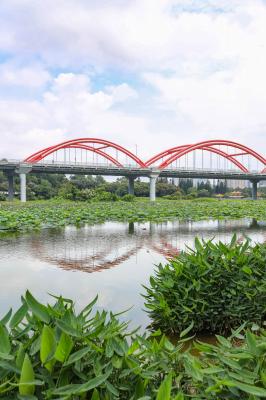 洪湖公园