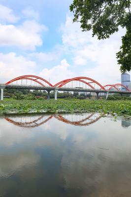 洪湖公园