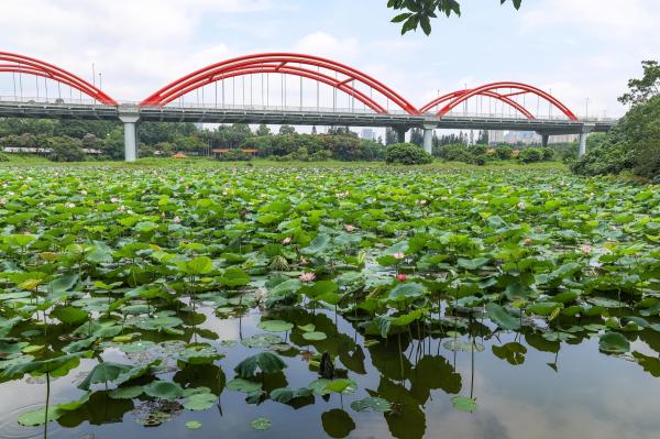 洪湖公园