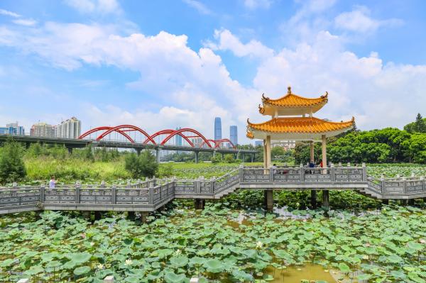 洪湖公园
